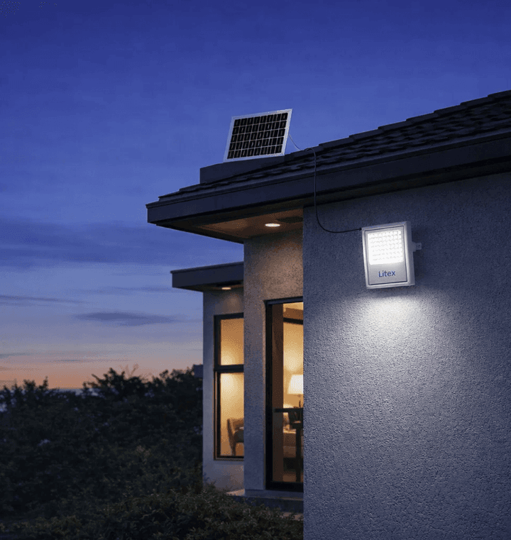 PROYECTOR + PANEL SOLAR