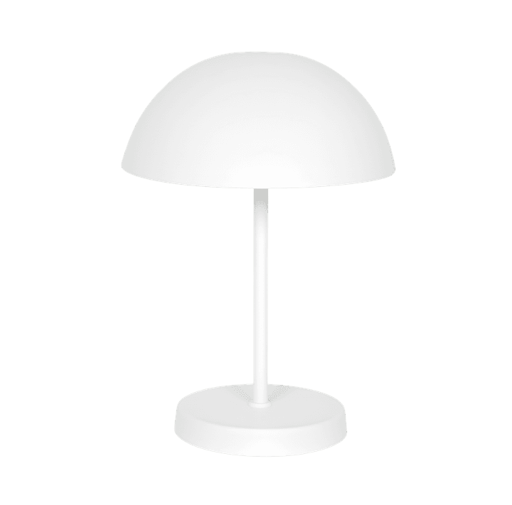 MINI BIPIN